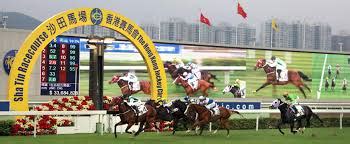 sha-tin-racecourse-hong-kong - 2024