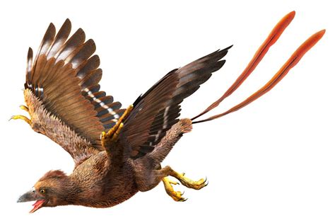 Confuciusornis | Animales prehistóricos, Animales, Prehistorico