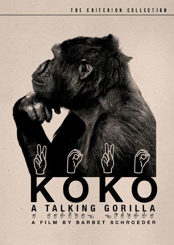 Gorilla, Koko gorilla, Sign language