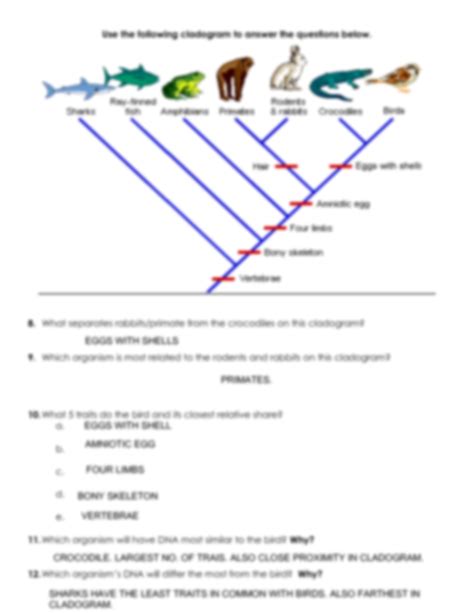 SOLUTION: Cladogram worksheet practice key - Studypool