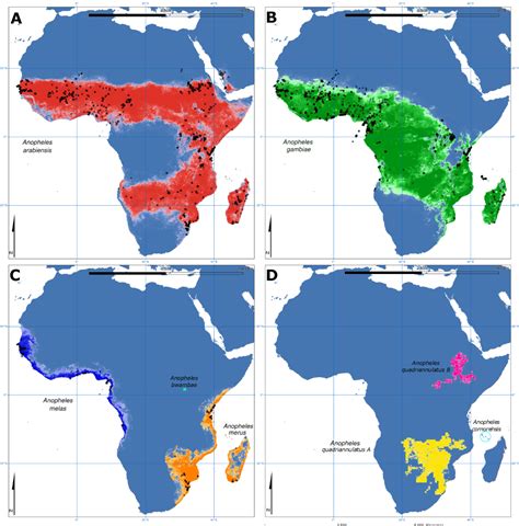 Speciation in Anopheles gambiae — The Distribution of Genetic Polymorphism and Patterns of ...