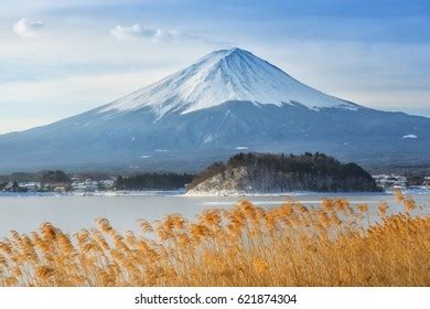 Mount Fuji Winter Scene On February Stock Photo 187106531 | Shutterstock