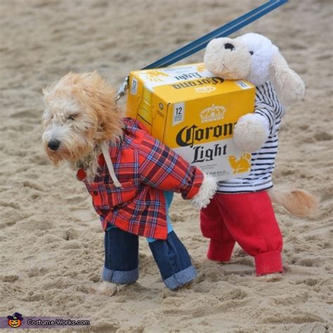 Dogs Carrying a Box of Corona Beer Costume