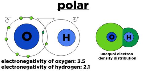 Polar vs. Nonpolar Bonds — Overview & Examples - Expii