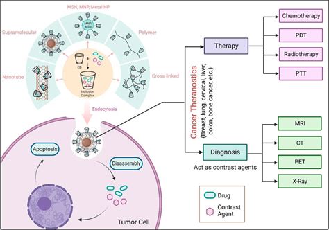 Cyclodextrin nanoparticles in targeted cancer theranostics - CarboHyde