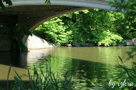 Bridge at central park. .. :) | Bridge, Central park, Park