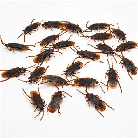 Buy SKA Kid Fake Cockroach Practical Jokes And Prank Trick Toys (Pack ...