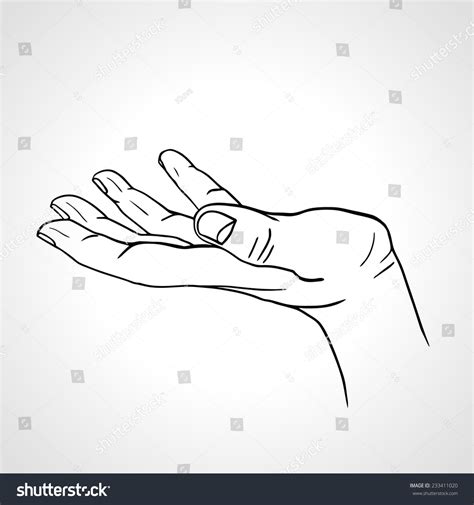 Side View Line Art Hand Palm: เวกเตอร์สต็อก (ปลอดค่าลิขสิทธิ์) 233411020 | Shutterstock