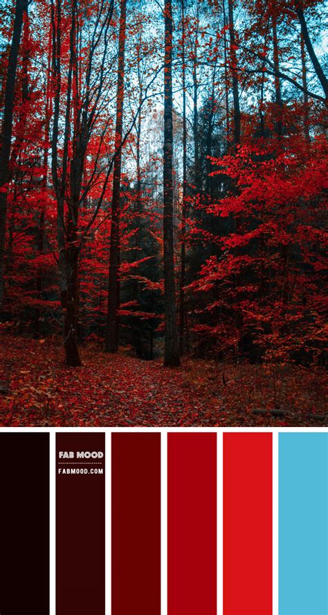 Red Autumn Colour Scheme – Colour Palette #78 1 - Fab Mood | Wedding Color, Haircuts ...