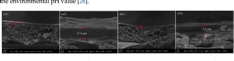 Figure 1 from Reduction of Ultrafiltration Membrane Fouling by the ...