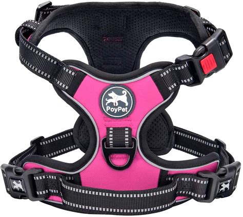 Best Dog Hiking Harnesses (Our 9 Choices of 2021)