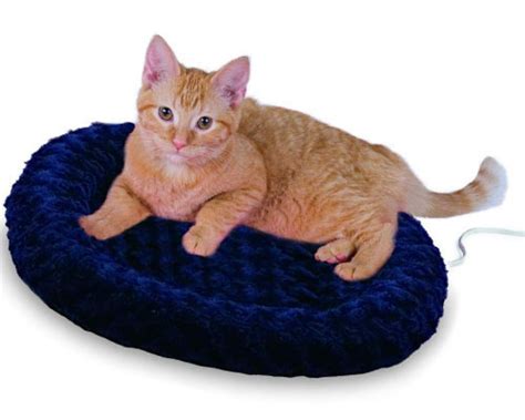 Top 6 Best Heated Cat Bed Reviewed and Buying Guide