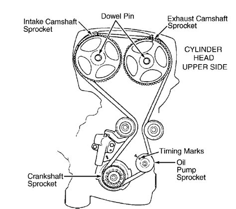 Timing belt diagram – Timing belt diagram maintenance replacement