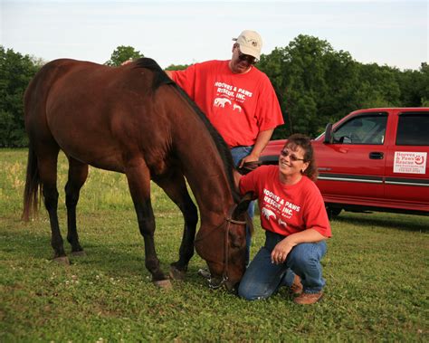 Hooves and Paws Rescue of the Heartland, Inc. "A Place to Heal." A ...