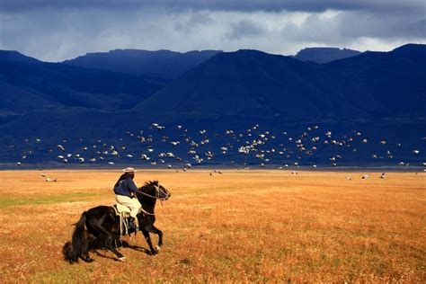 The Pampas - Argentina