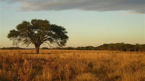 Visitez La Pampa : le meilleur à La Pampa, Argentine en 2022 | Tourisme Expedia