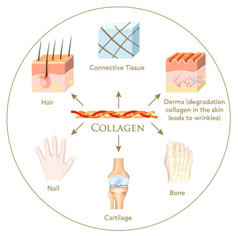 How To Stimulate Collagen Production In Skin: Complete Guide | CSG