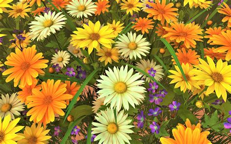 Yellow Daisy Wallpapers - Top Free Yellow Daisy Backgrounds - WallpaperAccess