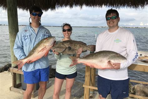 Snapper vs. Grouper: A Beginner's Guide | Dennispointcampgroundmd