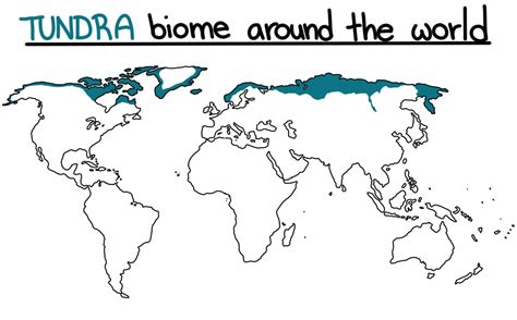 Polar Biomes — Tundra & Taiga - Expii