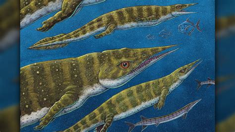 Fearsome Triassic 'ocean lizard' was a tweezer-nosed weirdo | Live Science