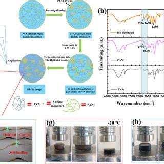 a Photograph of self-healing process for HB-Hydrogel, b mechanical ...