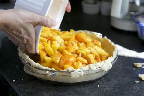 How to Make and Freeze Apple Pie Filling and Applesauce - Pioneerthinking.com