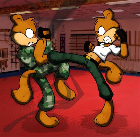 Sandy Squirrel Fighter 2 by 8Horns on DeviantArt