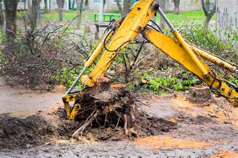 Tree Root Removal | Professional Stump Removal in Bucks County