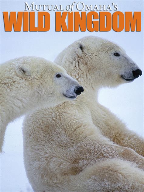 Wild Kingdom - Where to Watch and Stream - TV Guide