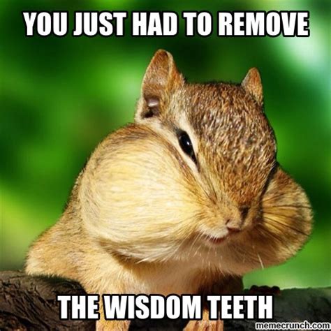 Chipmunk Memes