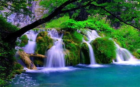 waterfall, trees, viewes, lake - For phone wallpapers: 1920x1200