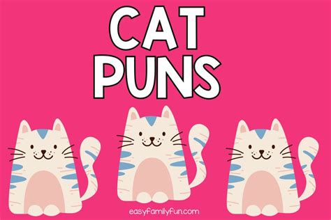 160 Awesome Cat Puns Are Purr-fect!