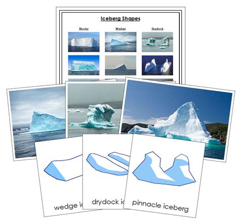 Iceberg Shapes Sorting & Control Chart - Montessori Print Shop