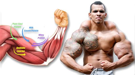 How Building Muscle Actually Works - YouTube