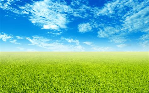 Green Sky Wallpapers - Top Free Green Sky Backgrounds - WallpaperAccess