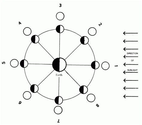 Diagram Of Phases Of Moon