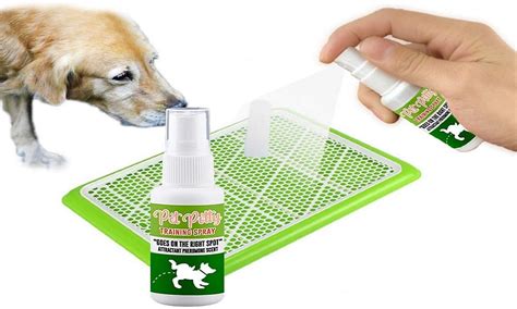 Best Dog Poop Training Sprays 2024 with Attractive Scent – Pet Guide Reviews