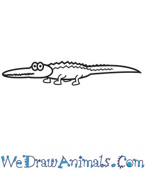 How to Draw a Simple Alligator for Kids