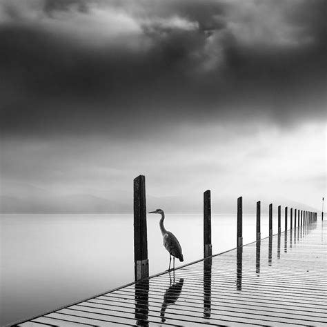 Surreal Nature Photography by George Digalakis Is Mysteriously Minimalist