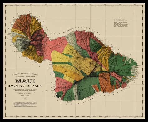 Maui Map Vintage Maui Map 1885 Restored Hawaii Map Maui | Etsy