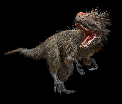 Here's What Feathered Dinosaurs Looked Like - Core77