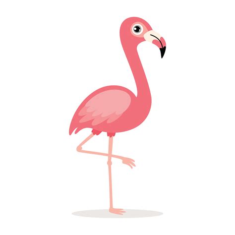 Cartoon Drawing Of A Flamingo 13536996 Vector Art at Vecteezy