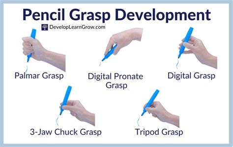 Development of Pencil Grasp - How to Promote a Functional Grasp with 5 Types of Activities ...