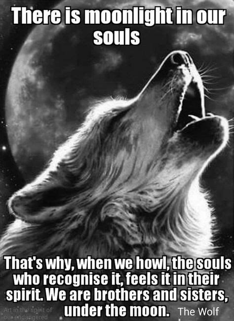 110 Best Therian Pride images | Wolf, Wolf stuff, Wolf quotes