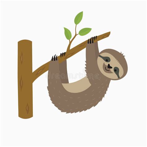 Sloth Hanging Tree Branch Stock Illustrations – 1,202 Sloth Hanging Tree Branch Stock ...