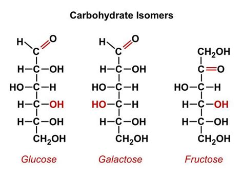 carbohydrate 炭水化物 | Organic chemistry study, Study chemistry, Teaching ...