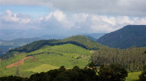 Doddabetta Peak in Ooty | Expedia.co.in