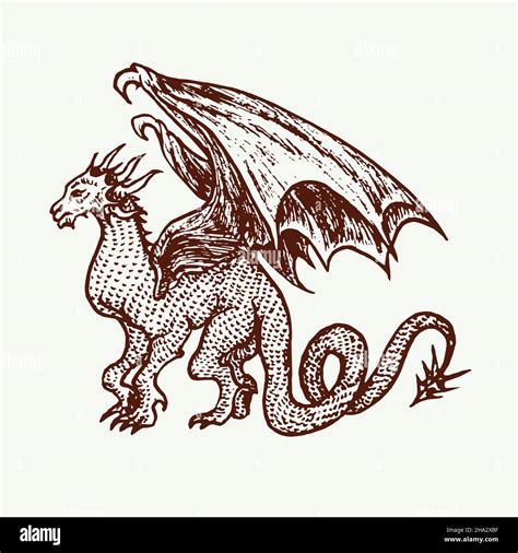 Dragon standing side view, large wings and long sharp tail, hand drawn ...