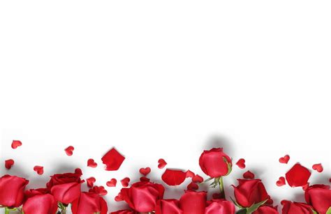 Red Roses Background, Wallpaper, Red, Rose Background Image And ...